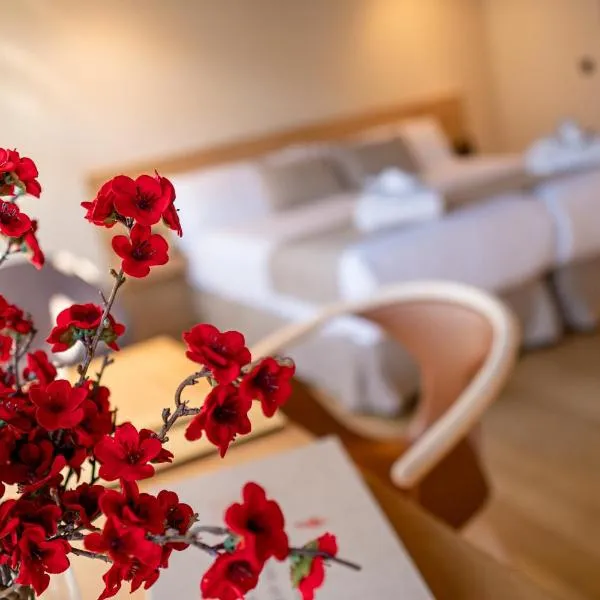 ACOUGA Hotel Boutique, hotel v destinaci Celanova