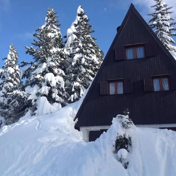 Baita Giggia sulle piste - Cavalese in Trentino Alto Adige cottage chalet, hotel u gradu 'Cavalese'