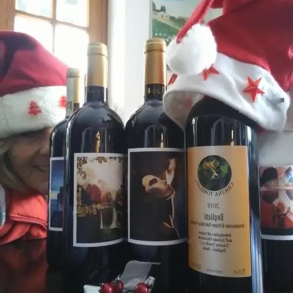 Cascina Torello，位于多利亚尼的酒店