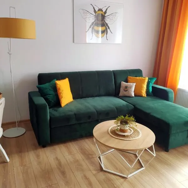 Apartament Miodownik, hotell sihtkohas Międzylesie
