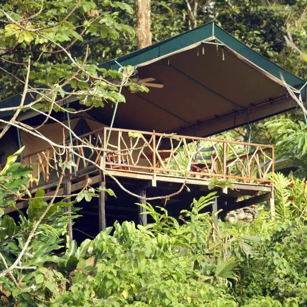 Rafiki Safari Lodge, hotel em Matapalo