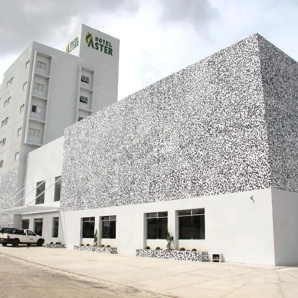 Hotel Áster, hotel in Alagoinhas