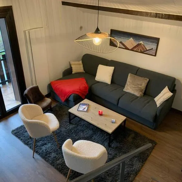 Duplex 3 chambres Vue Mont-Blanc, hotel in Domancy