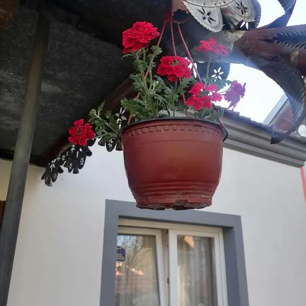 Etno Kuca Badejevic, hotel v destinaci Plavna