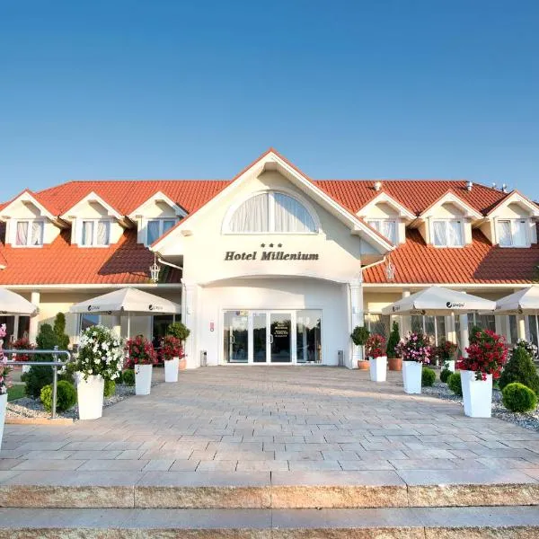 Hotel Millenium, hotel v destinaci Żyraków
