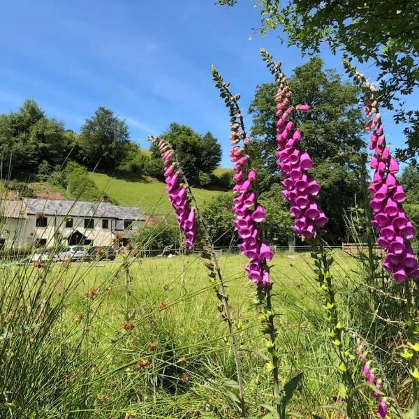 Luxury Exmoor Barn conversion with Sauna, hotel in Exford