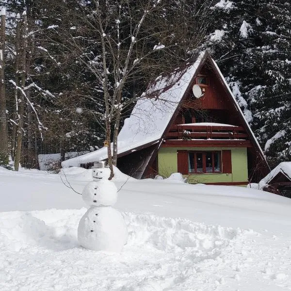 Squirrel cottage, hotel in Dolná Lehota