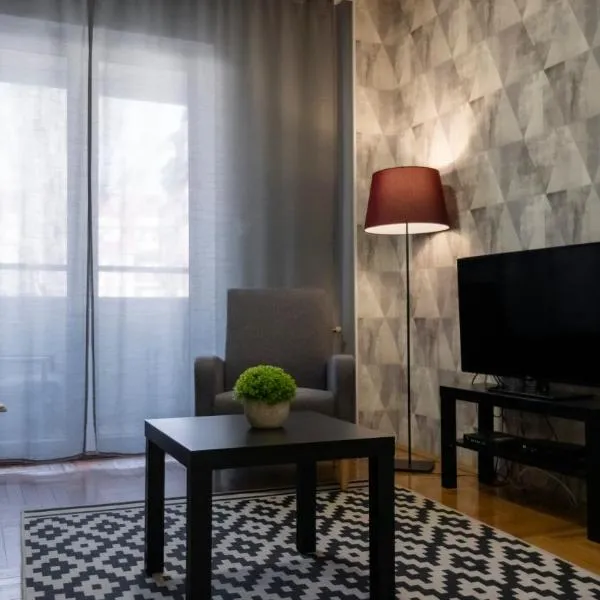 Central Fenix apartment - Free private parking-Fast WI-FI, hotel in Novi Sad
