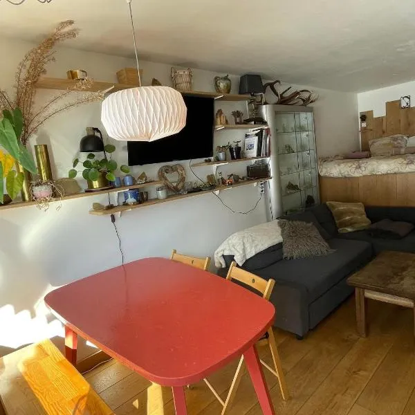 Cozy studio au centre du village & superbe vue, hotel in Les Contamines-Montjoie