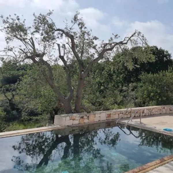 Trullo Piccola Lucertola in Valle d’Itria…