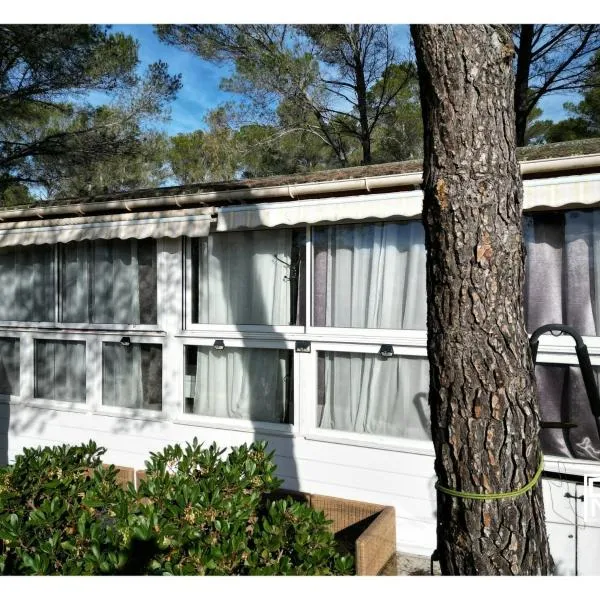 escabour 40 - superbe mobil home, climatisé, ss vis a vis, au calme, dans super domaine, Hotel in Fréjus