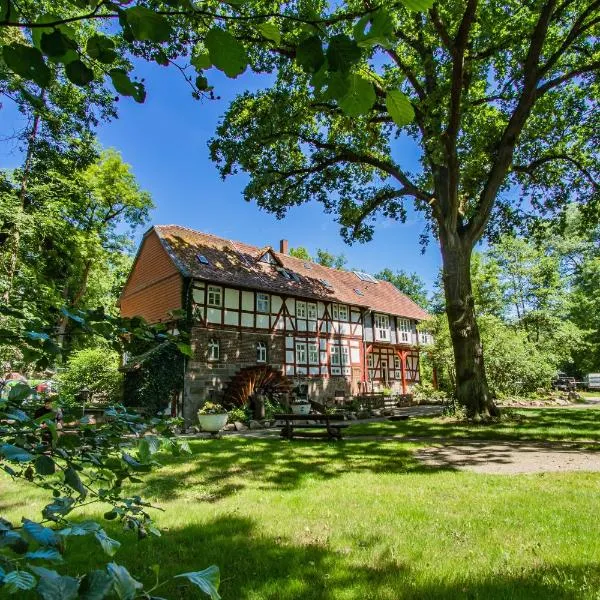 Hotel Hohlebach Mühle, hotel v mestu Wabern