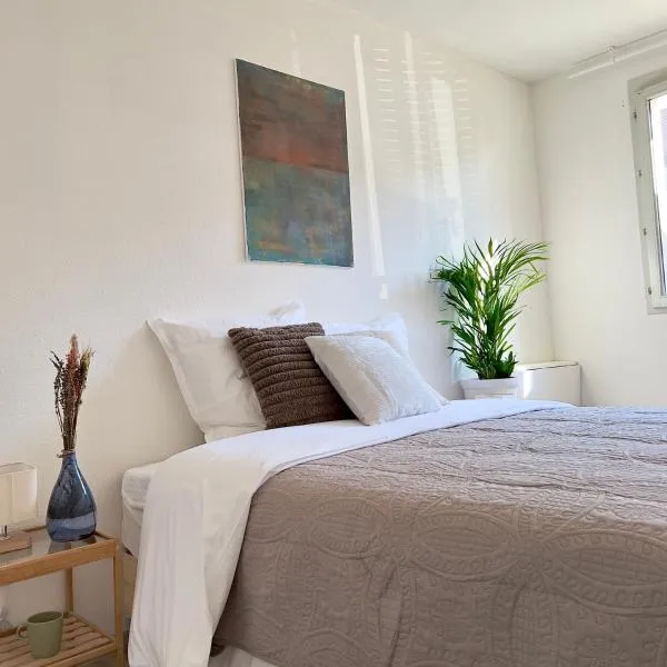 La Voulzie Appartement - Proche centre avec parking privé, hotel em Provins