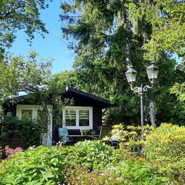 Compleet huisje in een groene oase in het centrum van Zuidlaren!: Zuidlaren şehrinde bir otel