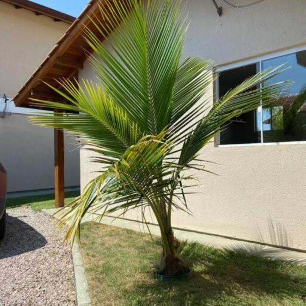 Loft no Campeche Próximo à Praia!!!!