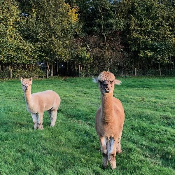 Grutsk op 12，位于德拉赫滕的酒店