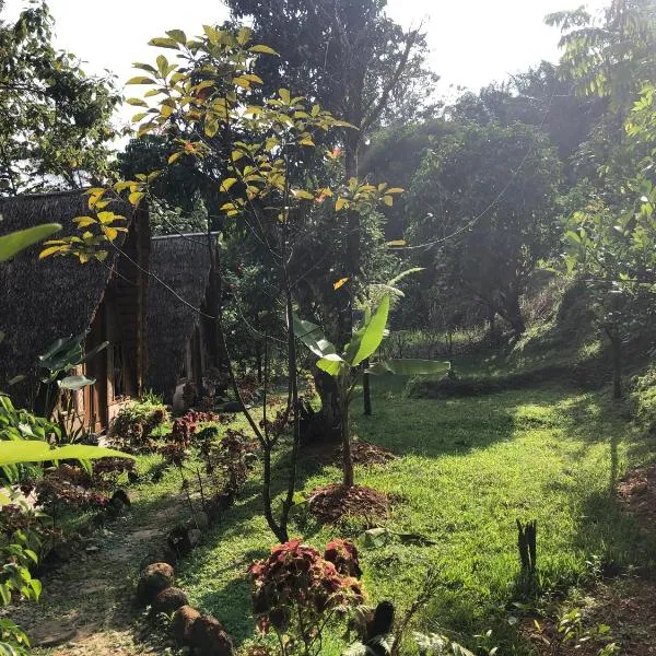 Sumatra Thomas Leaf Monkey Guesthouse & Jungle Trek, hotel v destinaci Bukit Lawang