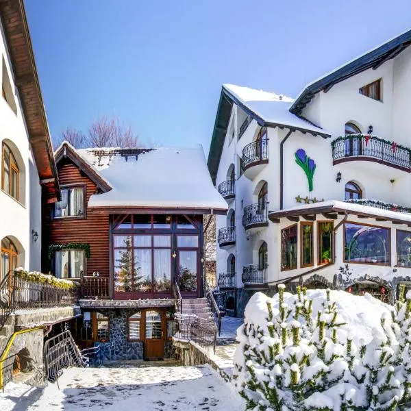 Pensiunea Crocus - Sauna & Billiard, hotel in Poiana Brasov