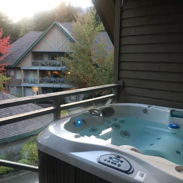 Valhalla Vacations at Whistler, hotel in Whistler