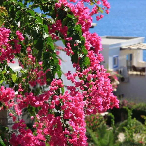 Aktur Residence, hotel v destinaci Bitez
