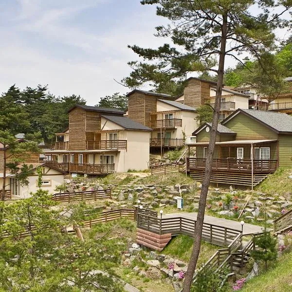Hyundai Soo Resort Hoengseong, hotel v destinaci Pchjongčchang