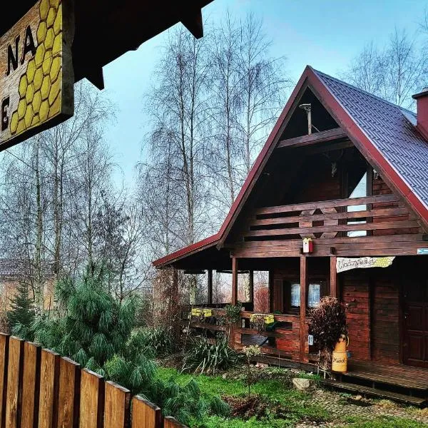 Domki na Górce, hotel en Wądzyn