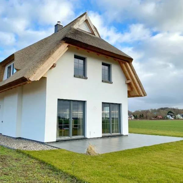 Ferienhaus Distelfink mit Sauna und Kamin、ドランスケのホテル