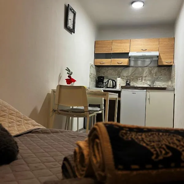Studio apartman Rijeka, hotel v destinácii Rijeka