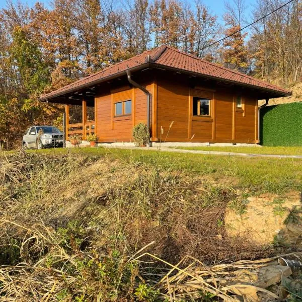 Etno selo Rasinski Lug, hotel v destinaci Ravni