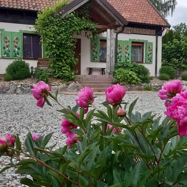 Zagroda Ziołowy Dzbanek, hotel en Młynary