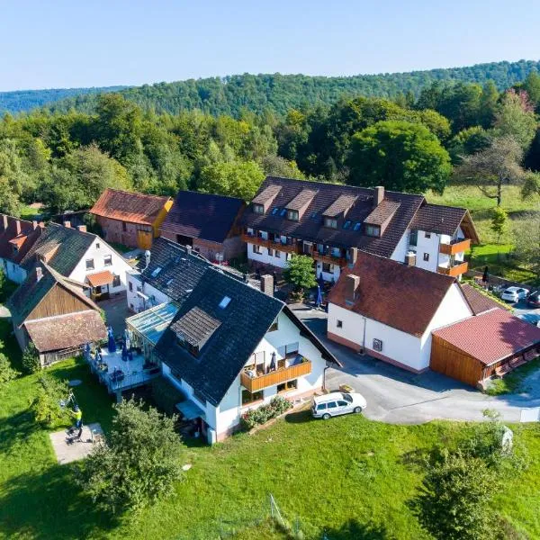 Hotel Landgasthof Oberschnorrhof, hotel in Dammbach