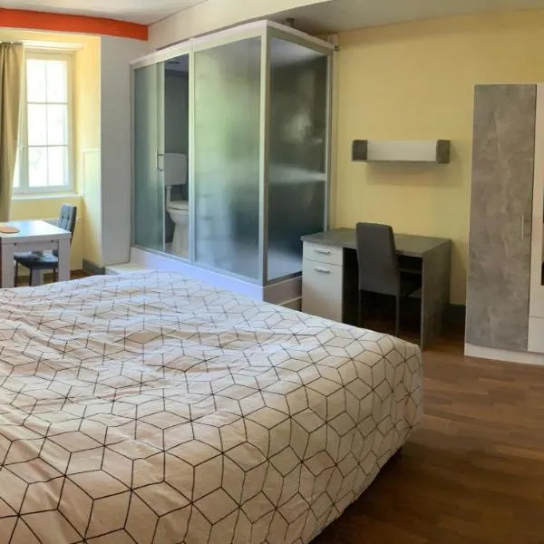 Chambre Equipè à louer – hotel w mieście Courrendlin