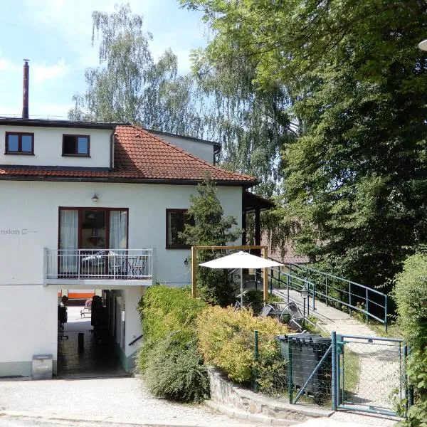 Pension Terezka, hotel a Frymburk