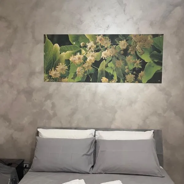 B&B SulViale, hotel a Ladispoli