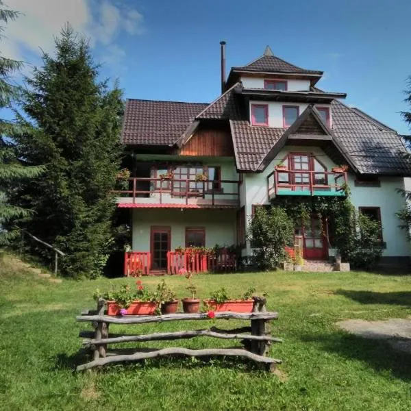 casa paltin vila si cabane, hotel di Podu Coşnii