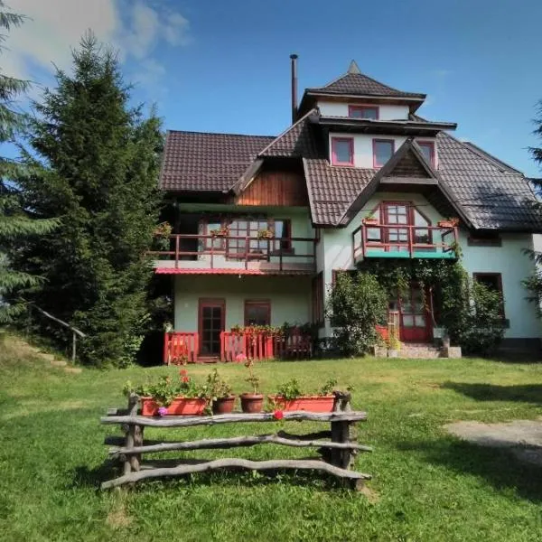 casa paltin vila si cabane, hótel í Podu Coşnii