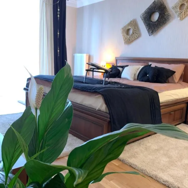 Центр (7). Поруч Озеро та Парк, hotel v destinaci Ternopil