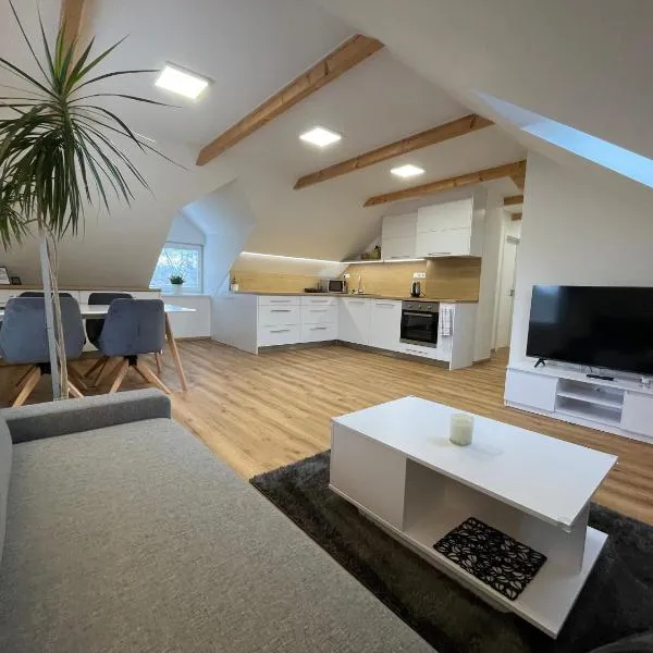 Apartmán Světla, hotel v destinaci Pardubice