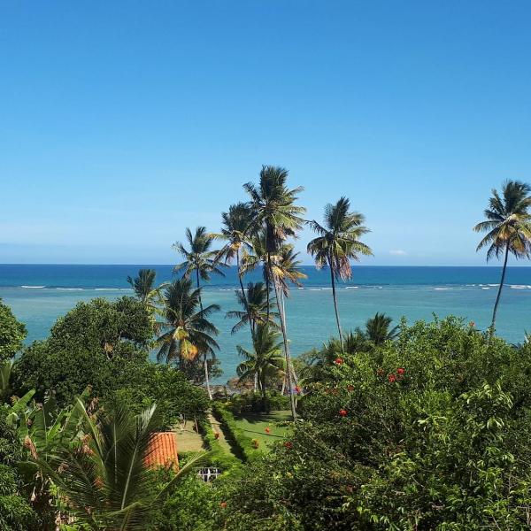 Saudade da Bahia - Foto 5