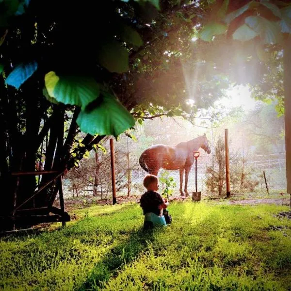 Domek nad stawem, hotel a Szlędaki