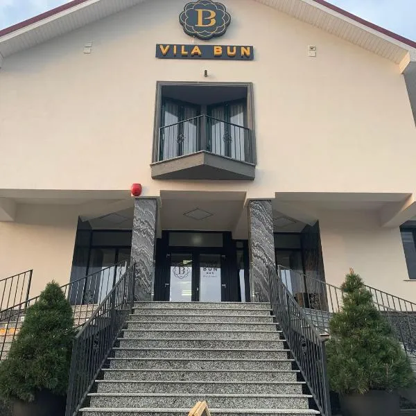 Vila Bun – hotel w mieście Băile Felix