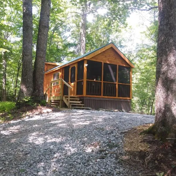 Two Rivers Cabins - The Mountaintop, hotel in Brevard