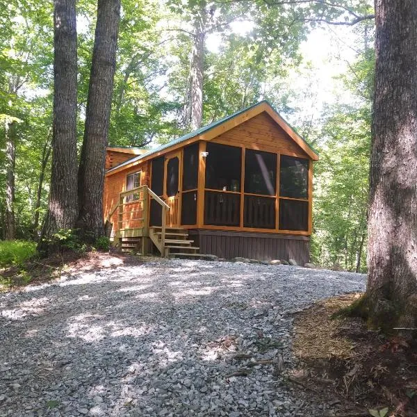 Two Rivers Cabins - The Mountaintop, hotel in Rosman