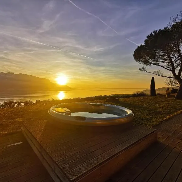 Sunset House with gorgeous view of the lake, hotel v destinaci Montreux