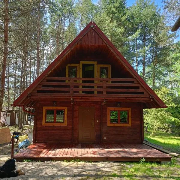 Dom Sosnowy, khách sạn ở Szczytno