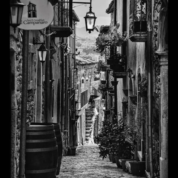 Al Campanaro b&b, hotel a Taurasi