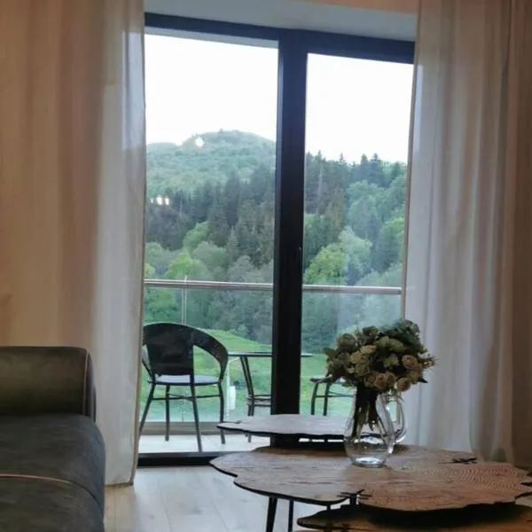 River view deluxe apartment, hotel in Molit'i