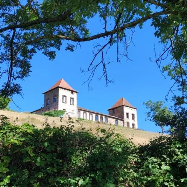 Château de Gorze, hotel in Saint-Bonnet-des-Bruyères