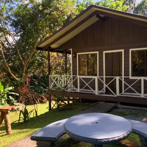 Hospedaje La Naciente, hotel v destinaci Turrialba