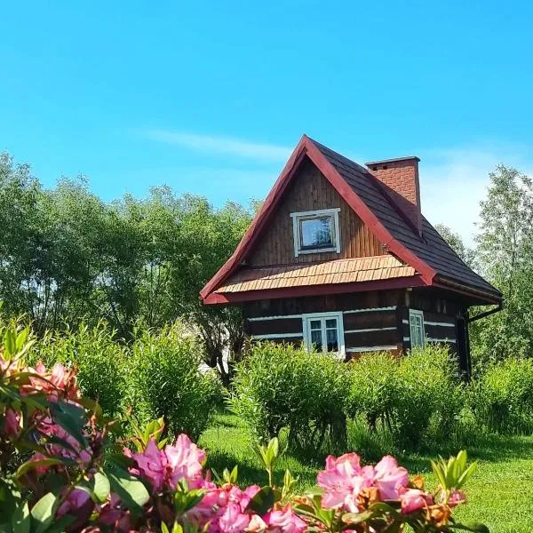 Domki Osada Werdołyna, hotel v mestu Polańczyk